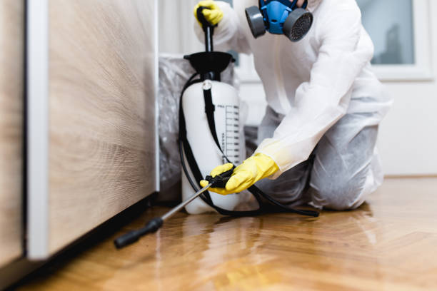 Best Flea Control Services  in The Village, OK