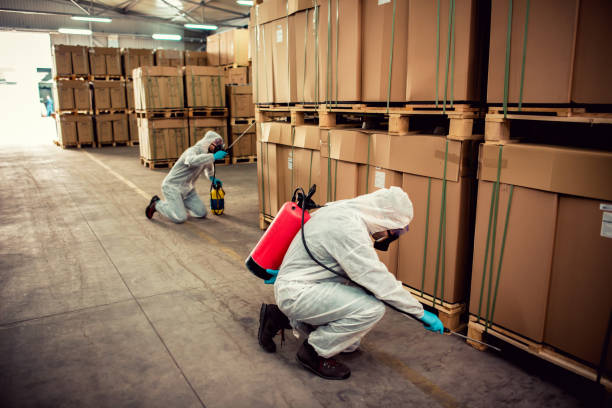 Best Pest Removal Services  in The Village, OK