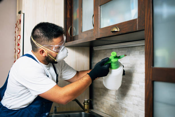 Best Pest Control for Homes  in The Village, OK