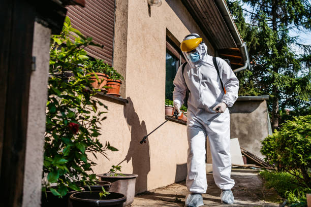 Professional Pest Control in The Village, OK