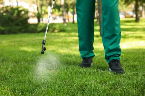 Best Local Pest Control Services  in The Village, OK