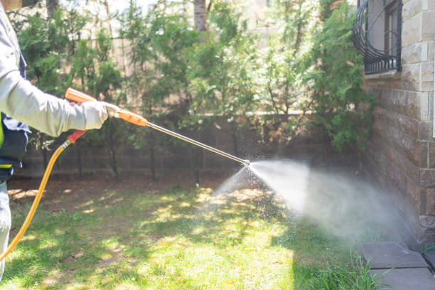 Best Exterminator Services  in The Village, OK