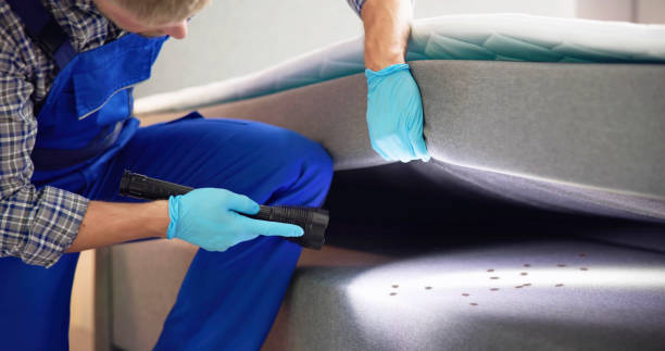 Best Commercial Pest Control Services  in The Village, OK