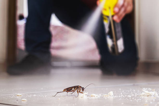 Best Residential Pest Control  in The Village, OK