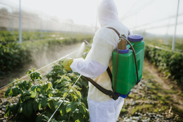 Best Pest Control Near Me  in The Village, OK